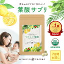 楽天天然葉酸と漢方のミモザ製薬＼最大2500円OFFクーポン発行中／ 葉酸サプリ 葉酸 サプリ フェリチン鉄 妊活 妊娠 新婦 授乳 子育て ママ 天然葉酸 無添加 隠れ貧血 貯蔵鉄 800μg 活性型 やさしい葉酸 お試し約7日分 送料無料 オーガニック サプリメント 葉酸サプリメント ミモザ製薬 鉄 カルシウム 貧血