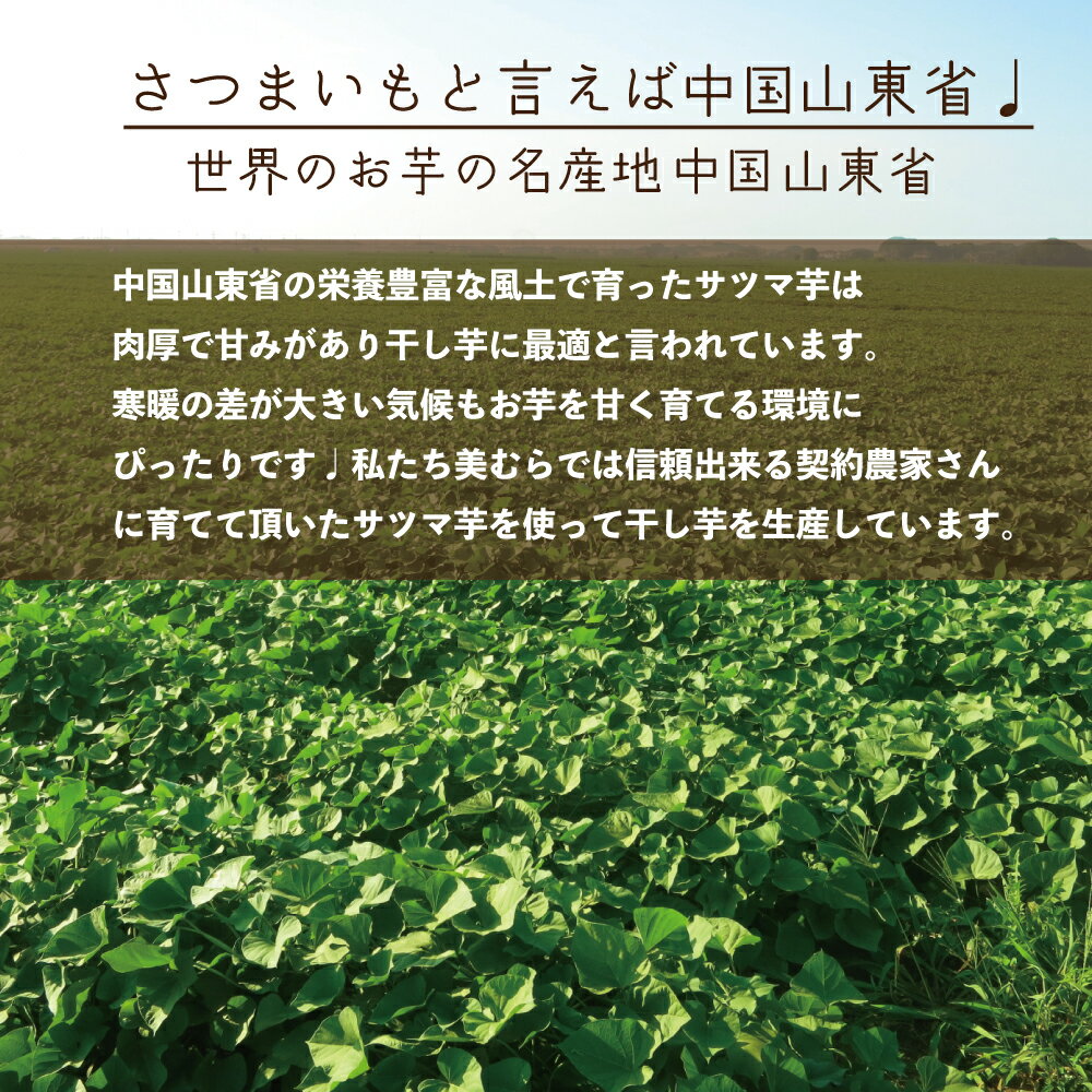 【業界最安値挑戦中!】熟成こだわり干し芋600g大容量【スティックタイプ】干し芋送料無料無添加無着色自宅用ほし芋ほしいもホシイモ自宅用手造り送料無料贈り物無添加お土産干し芋送料込お取り寄せ送料無料干しいも