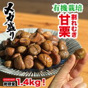 有機割れむき甘栗 1.4kg 無添加栗 栗 圧力製法 送料無料 無添加 砂糖不使用 栗 くり お取り寄せ お土産 送料無料 プレゼント 母の日ギフト 父の日ギフ...