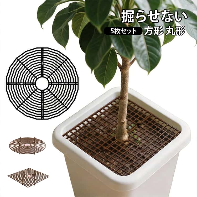 猫や犬による土掘り・いたずらを防ぐ植木鉢用グリッドカバー5枚セットです。好奇心旺盛なペットや幼児のいたずらから土壌をガード。誤飲防止の安全設計！屋内、屋外、バルコニー、庭、パティオ、卓上鉢植えなどに適した、植木鉢に別の美しさを追加します。19cmと30cmの2種類の直径があり、ブラックとブラウンの2色から選べるため、小型観葉植物から大型の植木鉢まで、幅広いニーズに合わせることができます。ハサミで簡単にトリミング可能！植木鉢のサイズに合わせて自由に加工できます。通気性・排水性に優れた構造で、植物の成長を妨げず土壌環境をしっかり保護します。軽量ながら丈夫な素材で、屋内・屋外問わず使用可能できます。観葉植物、盆栽、家庭菜園まで幅広く活躍する安心のペット対策アイテムです。 サイズ 5枚セット サイズについての説明 素材 プラスチック 色 黒（正方形31cm） ブラウン（正方形31cm） 黒（円形19.2cm） 黒（円形30cm） ブラウン（円形19.2cm） ブラウン（円形30cm） 備考 ●サイズ詳細等の測り方はスタッフ間で統一、徹底はしておりますが、実寸は商品によって若干の誤差(1cm～3cm )がある場合がございますので、予めご了承ください。 ●製造ロットにより、細部形状の違いや、同色でも色味に多少の誤差が生じます。 ●パッケージは改良のため予告なく仕様を変更する場合があります。 ▼商品の色は、撮影時の光や、お客様のモニターの色具合などにより、実際の商品と異なる場合がございます。あらかじめ、ご了承ください。 ▼生地の特性上、やや匂いが強く感じられるものもございます。数日のご使用や陰干しなどで気になる匂いはほとんど感じられなくなります。 ▼同じ商品でも生産時期により形やサイズ、カラーに多少の誤差が生じる場合もございます。 ▼他店舗でも在庫を共有して販売をしている為、受注後欠品となる場合もございます。予め、ご了承お願い申し上げます。 ▼出荷前に全て検品を行っておりますが、万が一商品に不具合があった場合は、お問い合わせフォームまたはメールよりご連絡頂けます様お願い申し上げます。速やかに対応致しますのでご安心ください。