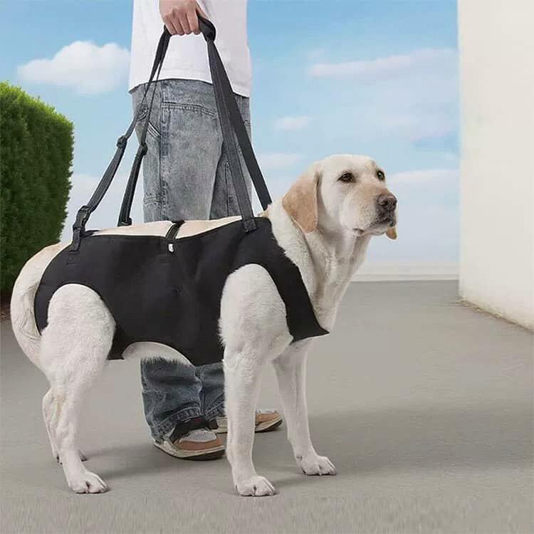 犬 介護 ハーネス 老犬 障害犬 歩行補助 小型犬 中型犬 大型犬 ショルダーバッグ ...