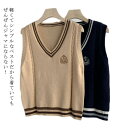 韓国 学生 制服 女子 学生 スクールベスト