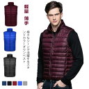 ライトダウン ダウンベスト インナー ビジネス 冬服 冬用