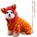 犬の服 犬服 龍 着ぐるみ ペットウェア 竜 2024年 干支 辰年 恐竜 ドッグウエア 可愛い コスチューム