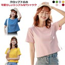 Tシャツ 半袖 レディース 春 夏 トップス カットソー Tシャツ クロップドTシャツ ショート丈 コンパクト 綿 無地