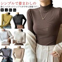 タートルネック Tシャツ カットソー ハイネック ストレッチ性 トップス 長袖 インナー レディース キレイめ