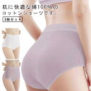 使い捨てパンツ 生理 出張 使い捨て 持ち運び