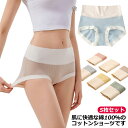 個包装 生理 使い捨てショーツ 生理 病院 ハイウェスト 股上深め トラベル 病院 災害 安全安心 女性用パンツ 衛生的 携帯用