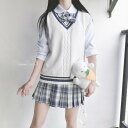 送料無料 ベスト ニット Vネック 学生