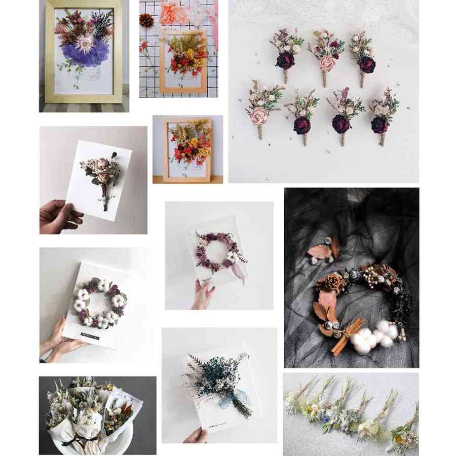 ��������2 ���饸�� ���꡼��� �Υɥ饤�ե� �Τ������ʪ ���ݥ��� ��ץ쥹