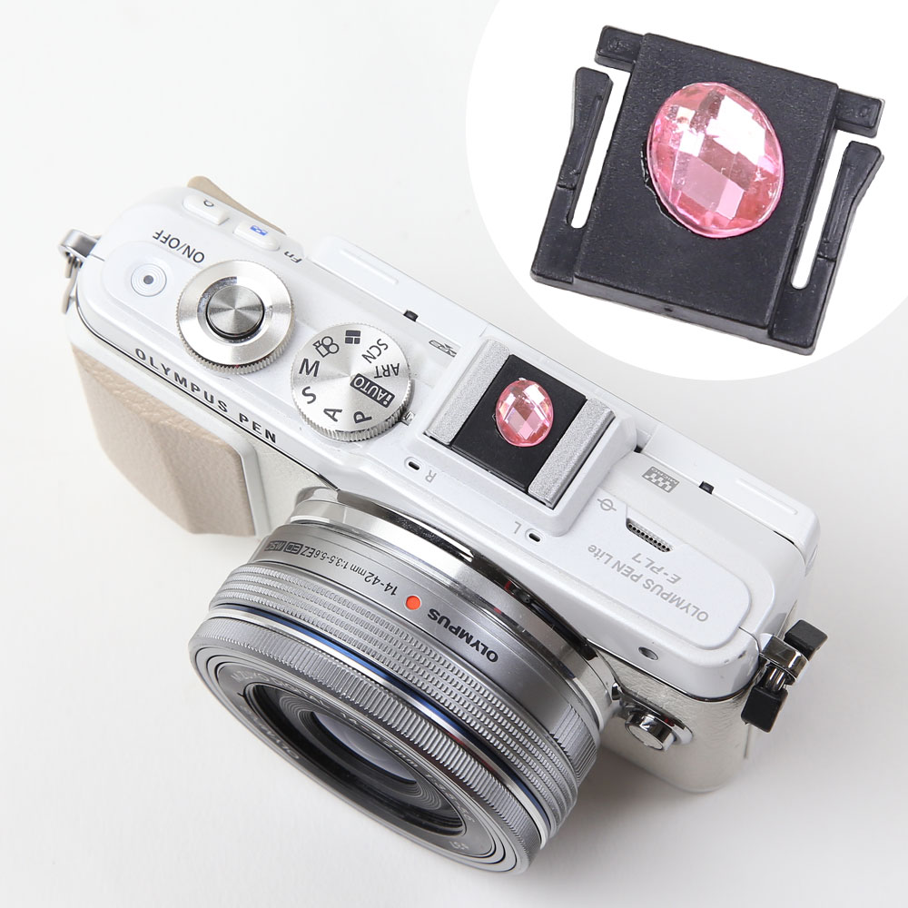 �ۥåȥ��塼���С� �İ��� �����Υܥ���/�ԥ󥯥��ȡ���ڥͥ��ݥ�OK/����250�ߡ�