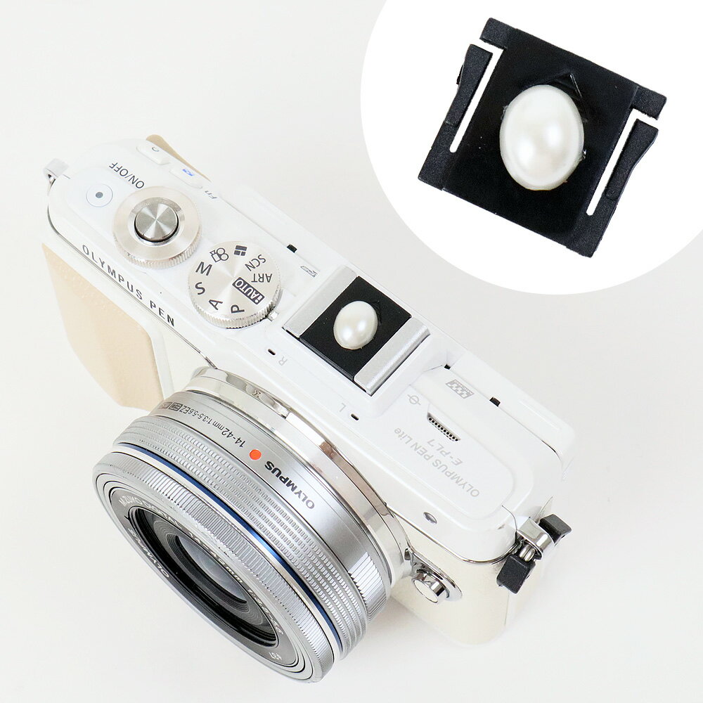 �ۥåȥ��塼���С� �İ��� �����Υܥ���/�ۥ磻�ȥѡ���ڥͥ��ݥ�OK/����250�ߡ�