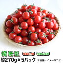 【送料無料】 ミニトマト 高糖度 甘い 優糖星（ゆうとうせい）約270g×5パック入りフルーツ感覚！ 1