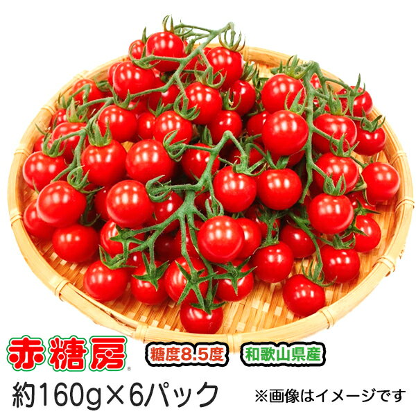 【送料無料】【ミニトマト】【高糖度】【甘い】赤糖房 あかとんぼ 約160g 6パック入り フルーツ感覚 【まとめ買い割引あり】【フルーツトマト】【ギフト】