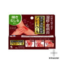 アピトベール 20g 手湿疹・皮膚炎に 漢方処方（第2類医薬品）