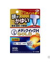 メンソレータムメディクイックHゴールド 30ML 頭皮湿疹 治療薬