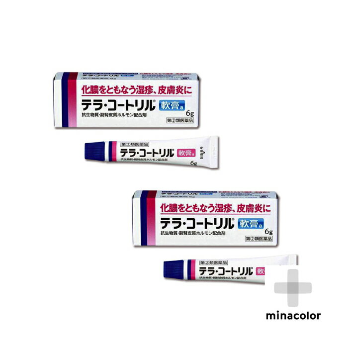 テラ・コートリル軟膏a 6g ×2個セット 皮膚の薬 化膿した湿疹（指定第2類医薬品）