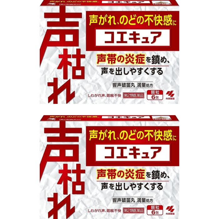 コエキュア 6包 ×2個セット