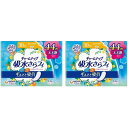 チャームナップ 吸水さらフィ 安心の少量用 パウダーの香り 44枚 ×2個セット