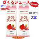 ざくろ　果汁100％ ざくろジュース【徳用1000mlパック×2本セット】【送料無料】野田ハニー 無添加　濃縮還元/ざくろ果汁/果実飲料/柘榴果汁/吉祥果/ザクロ【北海道,沖縄は3セットで送料無料】