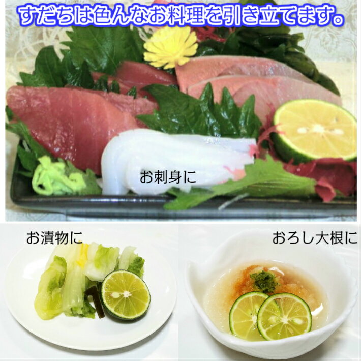 【100円OFFクーポン配布中】すだち 【丸秀B品】【2L 1kg箱】 ハウスすだち 徳島産 産地直送徳島すだち/ すだち果汁/柑橘/すだち酢/スダチ【北海道,沖縄便は2箱で送料無料】 3