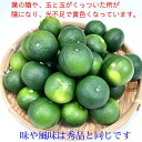 すだち 新物 ハウス【青秀3L 】【送料無料】【1 kg箱入 / 32玉前後】徳島産 スダチ 産地直送 すだち酢 すだち果汁【北海道,沖縄便は＋900円送料 2個で送料無料】 2