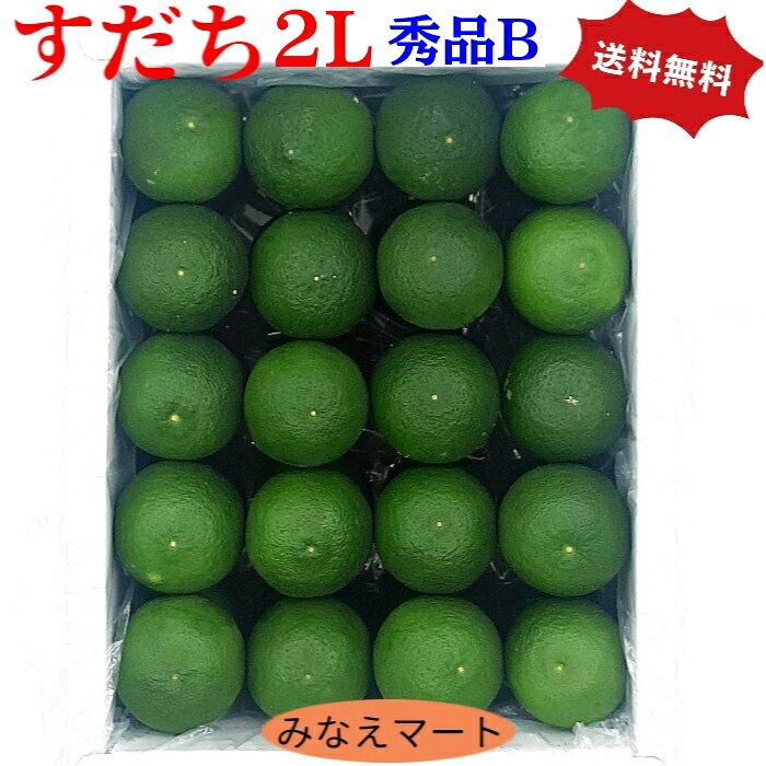 すだち 【2L 秀品B1kg 】送料無料40玉前後 徳島県産すだち すだち果汁 すだち皮　スダチチン　柑橘 すだち酢 スダチ みなえマート 特選品【北海道,沖縄便は送料別途900円】