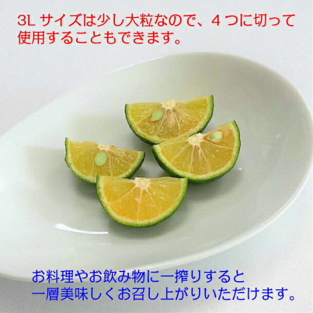 ������ ���绺�� 15������ 2L��3L�� ���̥ѥå� ������ �ݵ� ��̣ ���� �ݤ�ʪ �ɿ� �Ƥ��� ��ʪ���̳�ƻ ���츩������+900�ߡ�6�Ĥ�����̵����