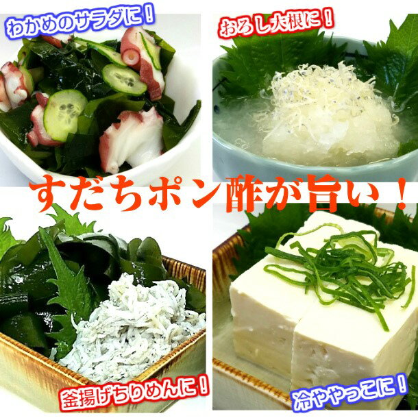 �������ݥ�� ��300ml�����绺 �������̽����� ����Ĵ̣�� ��¸�� ̵ź�ü�¤�� ̣�դ��ݥ��/�������ݤ󤺥����� �� ����֤���� ���ɿȡڥ��󥭥塼�ҡ�