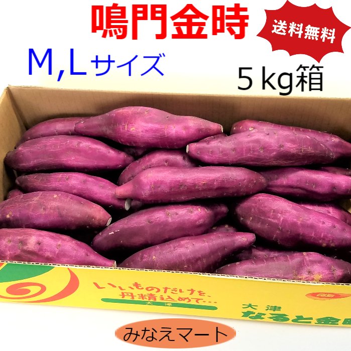 【100円OFFクーポン配布中】さつまいも なると金時 【5kg M Lサイズ】【送料無料】徳島産 さつまいも 鳴門金時焼き芋 大学芋 スィートポテト 芋けんぴ サツマイモ 産地直送 好評発送中 