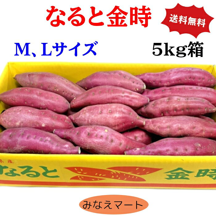【新芋】なると金時 さつまいも【5kg 】M～Lサイズ 25本前後 【送料無料】 鳴門金時 焼き芋 大学芋 スィートポテト 芋けんぴ サツマイモ 産地直送 みなえマート 特選品 【北海道,沖縄は送料＋900円】