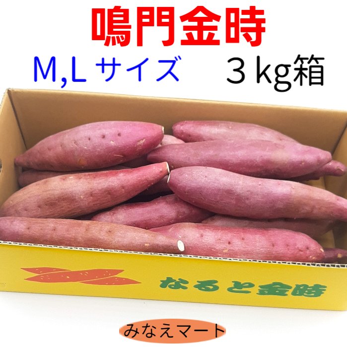 さつまいも なると金時【3kg M～Lサイズ】【送料無料】 徳島産 さつまいも 鳴門金時 焼き芋 大学芋 スートポテト 芋ご飯 サツマイモ 産地直送