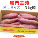 さつまいも なると金時【3kg M～Lサイズ】【送料無料】 徳島産 さつまいも 鳴門金時 焼き芋 大学芋 スートポテト 芋ご飯 サツマイモ 産地直送