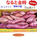 なると金時 訳あり品 形不揃い5kg入 【送料無料】【 M, Lサイズ 25本前後】 徳島産 さつまいも 焼き芋 大学芋 スィートポテト 芋けんぴ サツマイモ 鳴門金時 産地直送