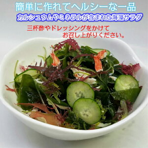 鳴門海藻生サラダ100g×4袋セット鳴門わかめ使用!