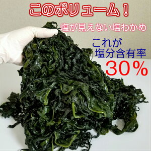 鳴門海峡産生わかめ業務用1kg(塩蔵)