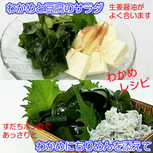 鳴門海峡産生わかめ業務用1kg(塩蔵)