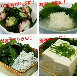 徳島産すだちポン酢300ml【10本入り】化学調味料無添加美味しい!味付すだちぽんず送料無料同梱可能【サンキュー社】