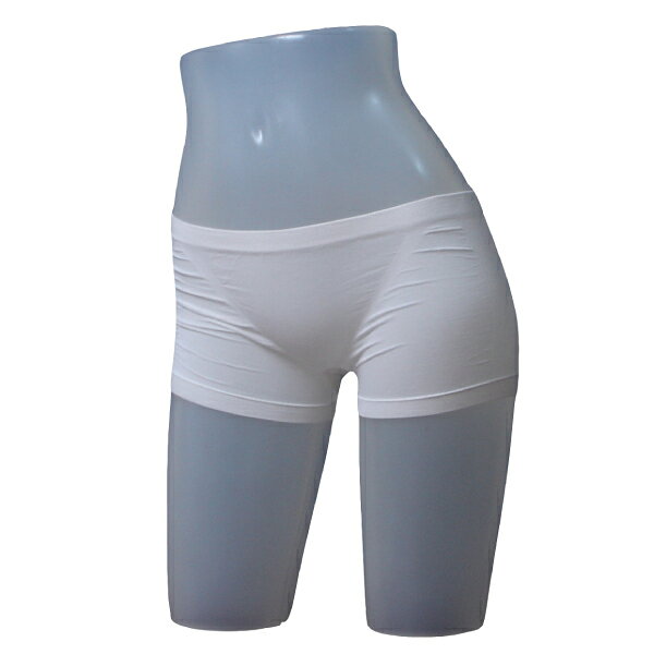 ���硼�� Shaple �����������1ʬ��ѥ��