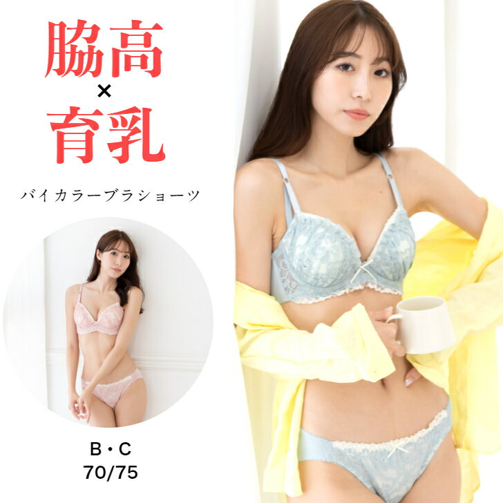 脇高ブラジャー ショーツ セット レース 育乳 脇高 ブラジャー & フルバック ショーツ ブラジャー ショーツ セット 脇肉 贅肉 ブラ セット 下着 レディース セット 育乳ブラジャー 大きいサイズ 盛りブラ インナー