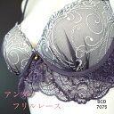 ブラショーツセット レディース ブラジャー ショーツ セット ブラジャー 下着 ブラ ブラセット かわいい 女の子 女子 BCD 上下 上下セット シンプル レース 美胸 シルエット ボリュームアップ 伸縮性 盛胸