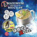 ダブルウォールグラス　RayES／レイエス　RDS-002L　400ml [2個入り・ペア　セット]　ビールグラス　ビアグラス　耐熱　二層　二重　結露しくい　保冷　保温　ガラス　タンブラー　ギフト　プレゼント　あす楽　送料無料