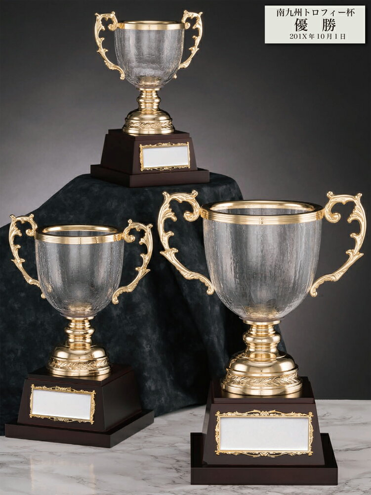 表彰カップ CG7514 ガラス製 【化粧箱入り】【レーザー彫刻名入れ無料】 南九州トロフィー