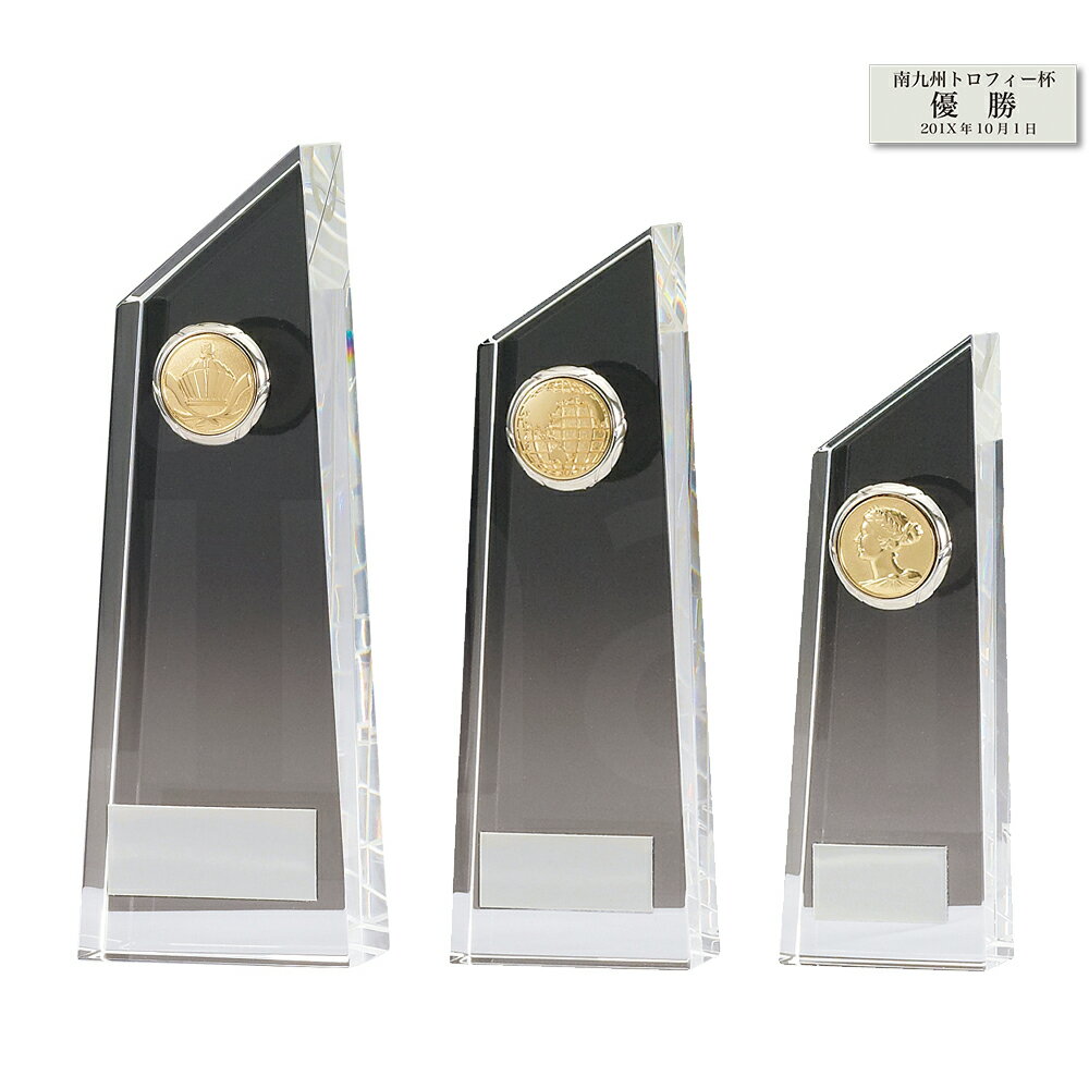 Rakuten - 表彰クリスタル CMV407 ガラス製 【化粧箱入り】【レーザー彫刻名入れ無料】 南九州トロフィー