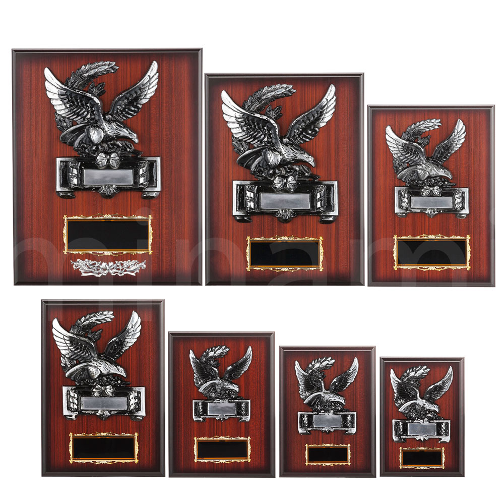 表彰楯 ワシ K5003 木製圧縮材 アルミ金属レリーフ 【化粧箱入り】【レーザー彫刻名入れ無料】 盾 南九..