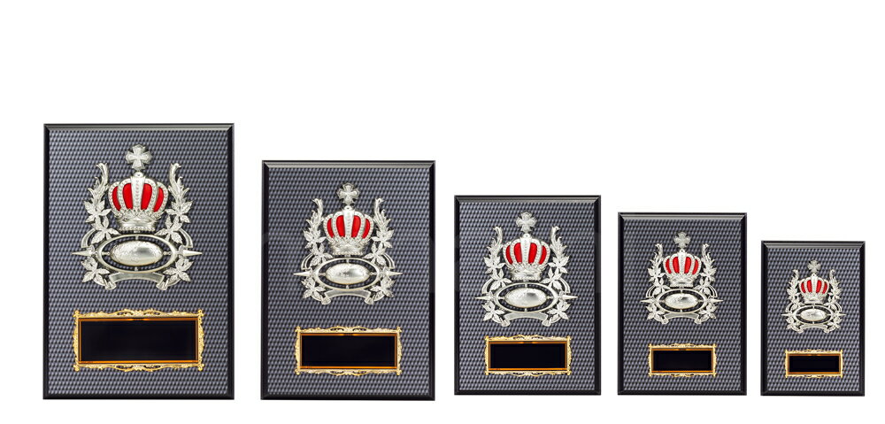 表彰楯 王冠 K5040 木製圧縮材 【化粧箱入り】【レーザー彫刻名入れ無料】 盾 南九州トロフィー