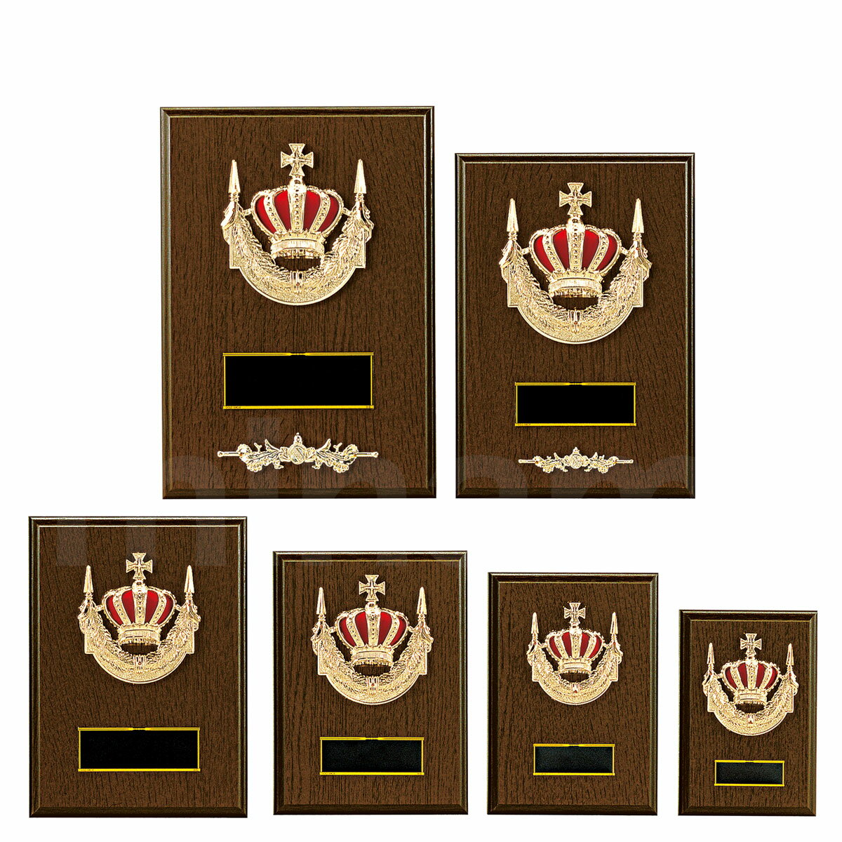 表彰楯 王冠 K5065 木製圧縮材 【化粧箱入り】【レーザー彫刻名入れ無料】 盾 南九州トロフィー