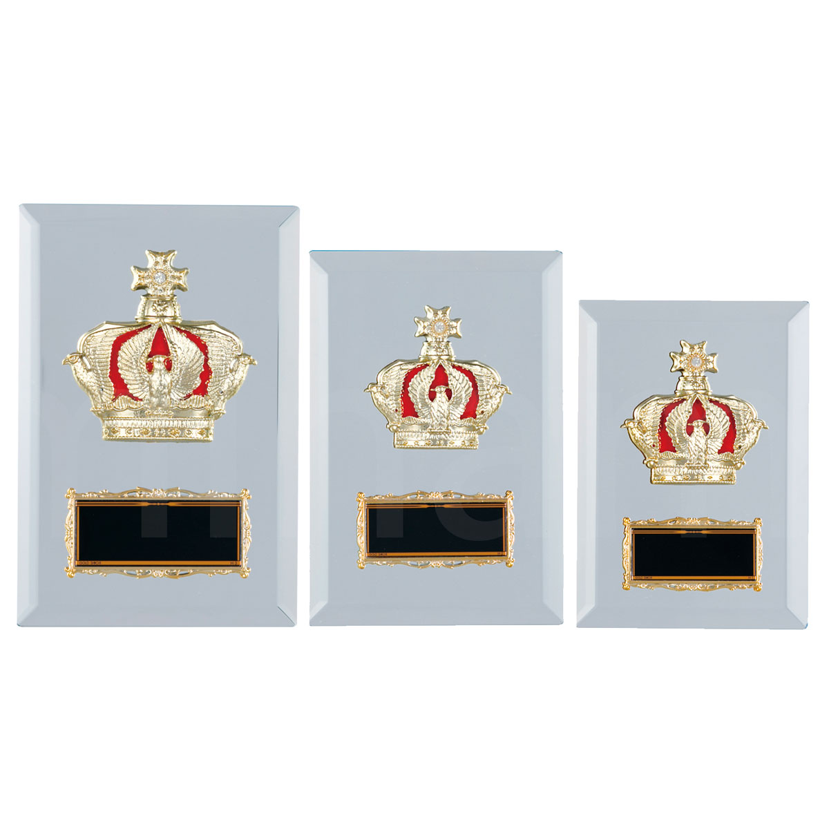 表彰楯 ワシ王冠 K5076 ミラー板 【化粧箱入り】【レーザー彫刻名入れ無料】 盾 南九州トロフィー