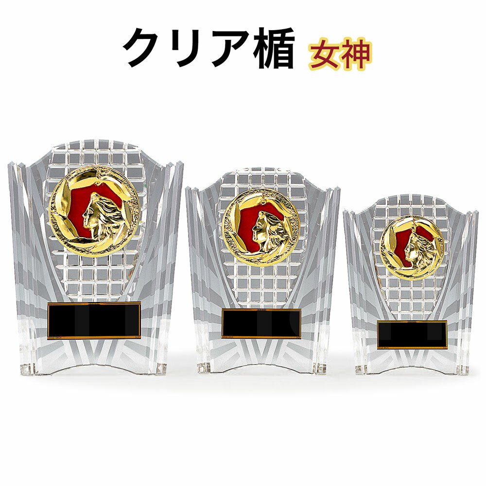 表彰楯 女神 クリア楯 K5077 樹脂製 【化粧箱入り】【レーザー彫刻名入れ無料】 盾 南九州トロフィー