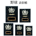 表彰楯 (野球) K5095 木製圧縮材 【化粧箱入り】【レーザー彫刻名入れ無料】 盾 南九州トロフィー